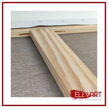 Pack de 2 Lienzos de 100x80cm + Refuerzo Central