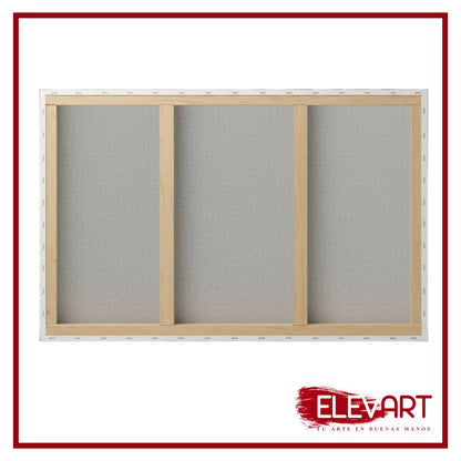 Pack de 2 Lienzos de 146x97cm Forma Paisaje 80 + Doble Refuerzo Central