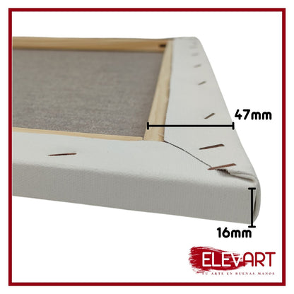 Pack de 2 Lienzos de 100x80cm + Refuerzo Central