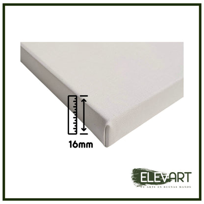 |Oferta Del Mes| Pack de  lienzos 50x40cm en 47x16mm |Algodón 350gr/m2| Unidades Limitadas